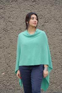 N02S2025-PONCHO